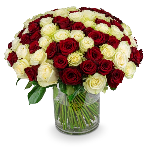 Boquet of white and red roses
